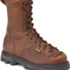 Rocky Men's BearClaw3D Insulated GORE-TEX Outdoor Boots